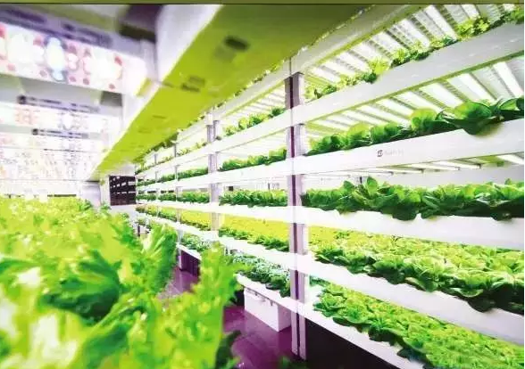 南京諾爾迅亮化，照明亮化工程