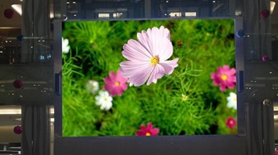 <b>Mini LED來(lái)勢(shì)洶洶，OLED還扛得住嗎？</b>